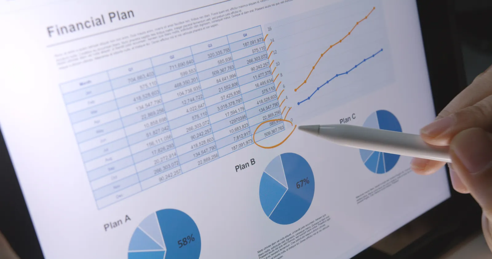 Budgeting and Cash Flow Forecasting for a Turkish Entity in a Volatile-FX Market