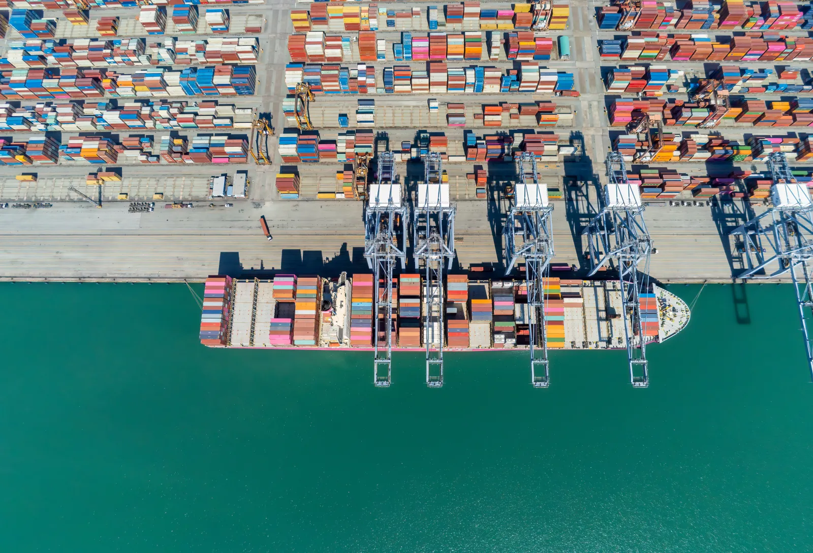 Supply Chain Resilience for Türkiye-Based Operations: Currency, Logistics, Suppliers